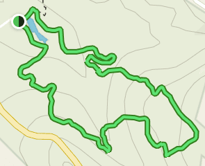 mission tejas state park trail map