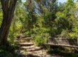 east texas rv park hiking trail
